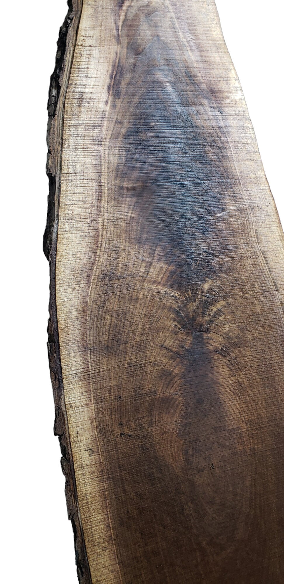 Walnut Live Edge Oval Slab Perfect For Coffee Table!